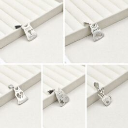 DIJE DE ACERO GUARDAPOLVO SEÑO