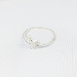 ANILLO DE PLATA COLIBRI LISO