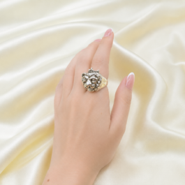 ANILLO DE PLATA INFLADA LEÓN