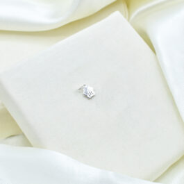 DIJE DE PLATA HUELLA DE PERRO C/ZIRCON